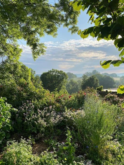 La Petite Maison Du Hetre * Brassac (Ariege)