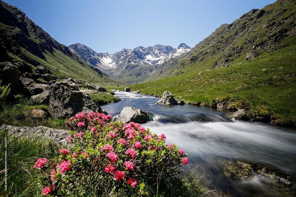 La Petite Maison Du Hetre Brassac (Ariege)
